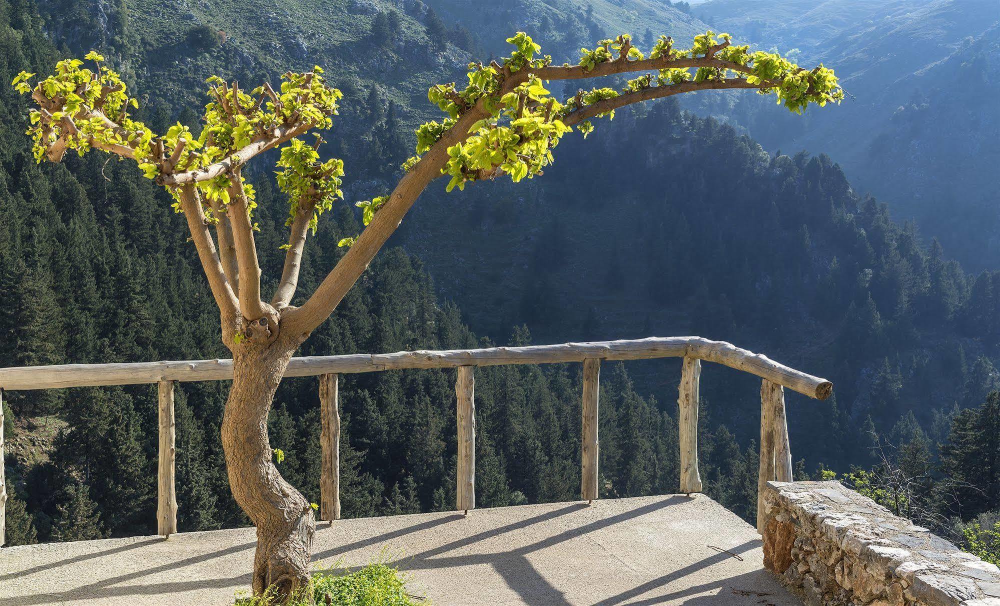 Apirathes Residence Zourva Екстер'єр фото